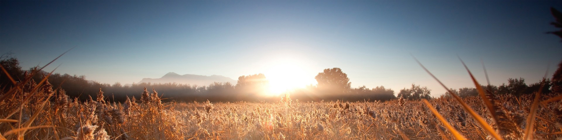 上海离婚纠纷律师